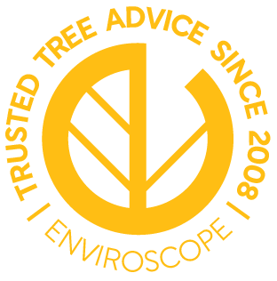 tree-advice-yellow@3x