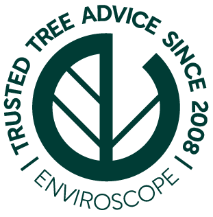 tree-advice-green@3x